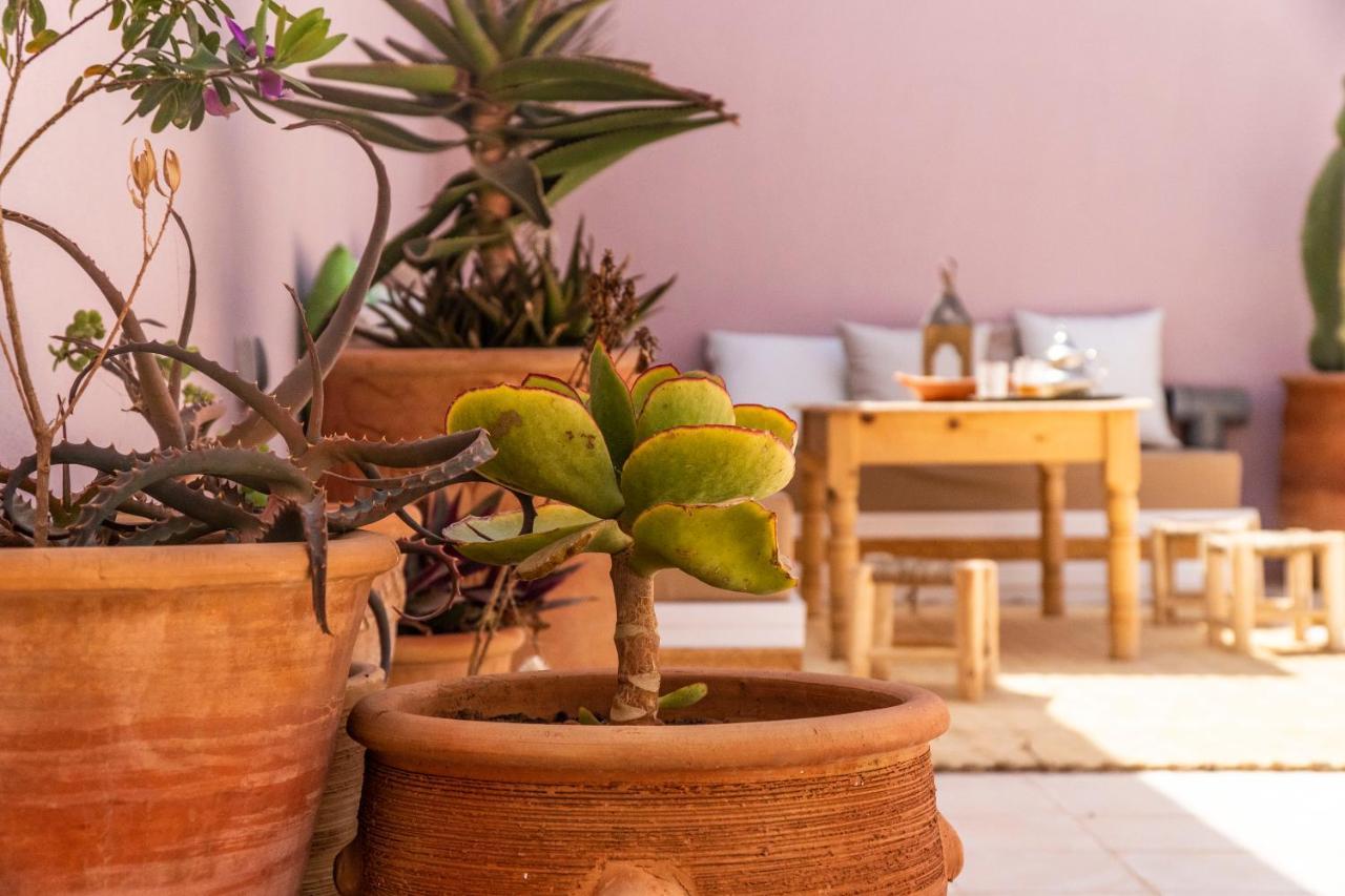 Inna Guest House Mirleft Εξωτερικό φωτογραφία